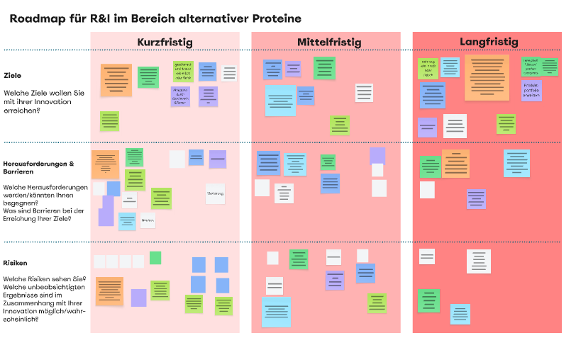 Roadmap of responsible innovations such as alternative protein